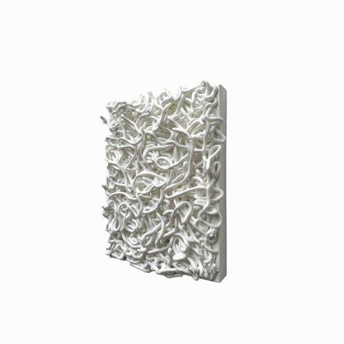 Florencia Rojas (1989) - Confit Tangle - White Gloss, Antiek en Kunst, Kunst | Schilderijen | Modern