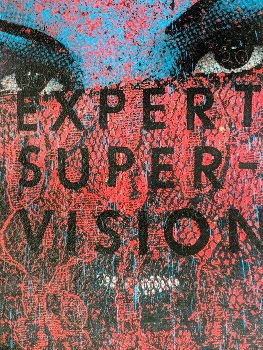 Bask (XX) - Expert Supervision, rare Proof by 1XRun Archival, Antiek en Kunst, Kunst | Designobjecten