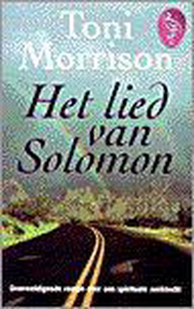 Het lied van Solomon / Ooievaar 9789057133961 Toni Morrison, Boeken, Romans, Gelezen, Verzenden