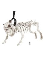 Honden skelet, Ophalen of Verzenden, Nieuw