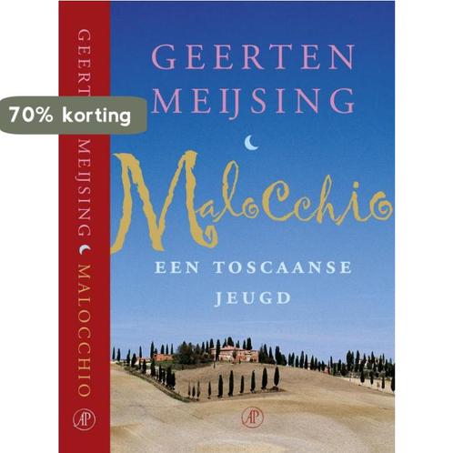 Malocchio 9789029536967 G. Meijsing, Boeken, Romans, Gelezen, Verzenden