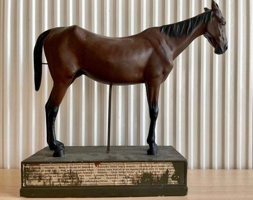 Modèle vétérinaire de cheval (1) - Plâtre - Début du XXe, Antiquités & Art, Antiquités | Autres Antiquités