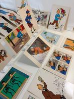 Tintin - Superbe lot de 25 cartes postales officielles, Boeken, Stripverhalen, Nieuw