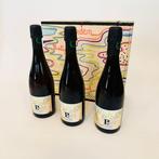 Paul Launois, Garden Party, Rosé - Champagne - 3 Flessen, Nieuw