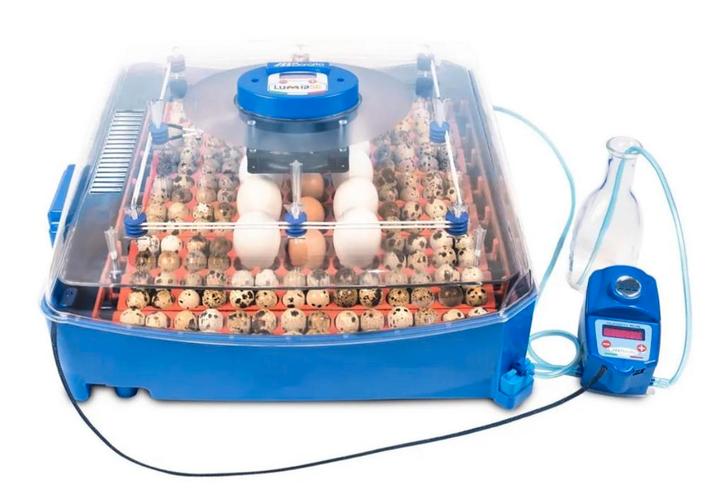 Borotto broedmachines (importeur) + gratis broedeieren, Dieren en Toebehoren, Pluimvee | Toebehoren, Nieuw, Broedmachine, Verzenden