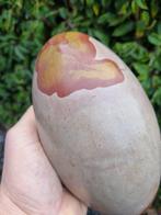 Unique XXL Shiva Lingam, 20,5 x 11 cm- 3.48 kg