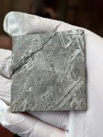 Aletai meteoriet Geen minimumprijs - 56.65 g, Verzamelen