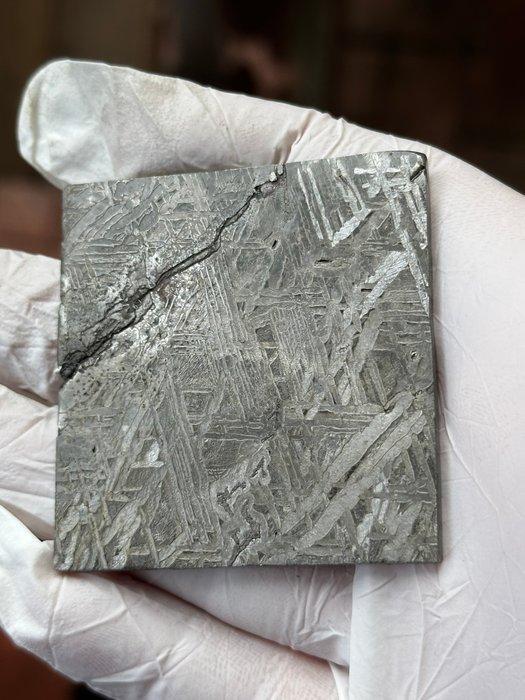 Aletai meteoriet Geen minimumprijs - 56.65 g, Verzamelen, Mineralen en Fossielen