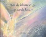 Hoe de kleine engel op aarde kwam 9789082037609, Boeken, Prentenboeken en Plaatjesalbums, Verzenden, Gelezen, Hilda Herklotz