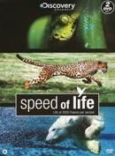 Speed of life op DVD, Verzenden