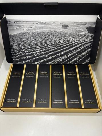 2020 Bodegas Carmelo Rodero, Pago de Valtarreña - Ribera del