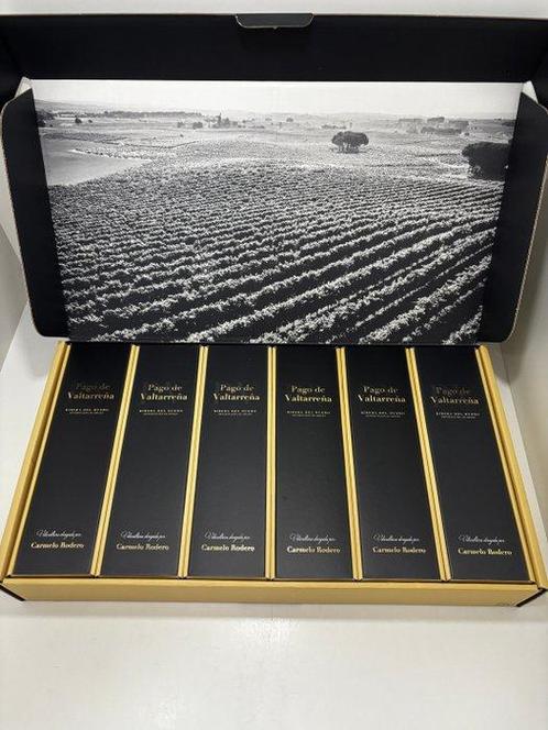 2020 Bodegas Carmelo Rodero, Pago de Valtarreña - Ribera del, Verzamelen, Wijnen