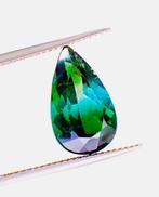 Multicolore Tourmaline - 4.76 ct - Antwerp Laboratory for, Nieuw