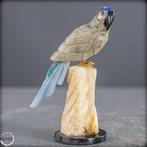 Natuurlijke edelsteen-sculptuur – Papegaai gemaakt van