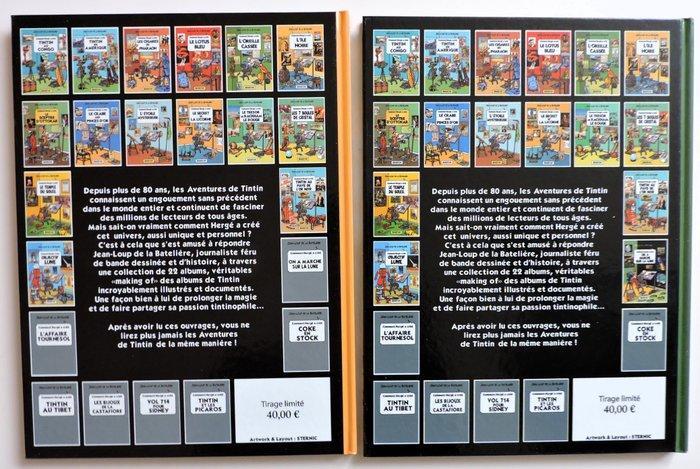 Tintin, Comment Hergé a créé - Objectif Lune - On a marché, Livres, BD