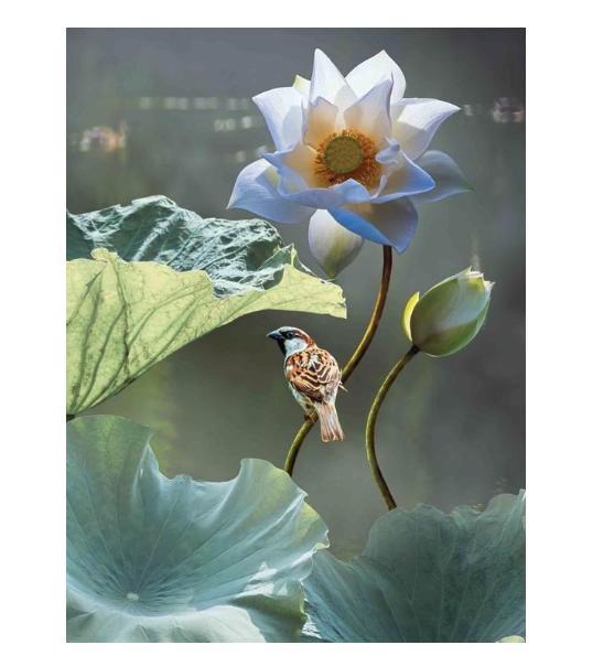 Customize-it - Lotus mus 50x70cm Tuinschilderij, Tuin en Terras, Overige Tuin en Terras, Verzenden