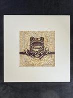 Filippo Capperucci (1955) - Rana