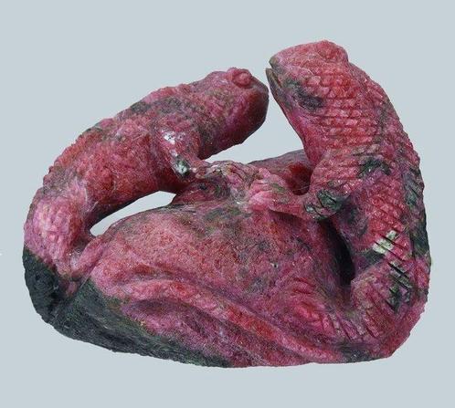 Grote natuurlijke robijn - 1023,25 ct. - twee Iguana met de, Verzamelen, Mineralen en Fossielen