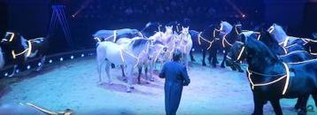 Wereldkerstcircus Tickets | Carre Amsterdam