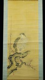 Hawk on Ume tree free shipping - Ogata Tosho (1791-1863)