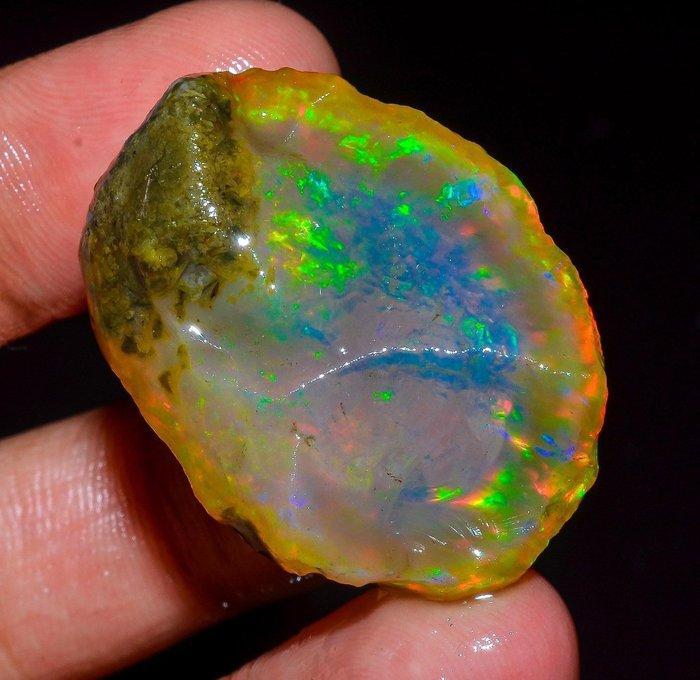 Opalo wello AAA+ XL 61,5ct Ruw- 12.3 g, Verzamelen, Mineralen en Fossielen