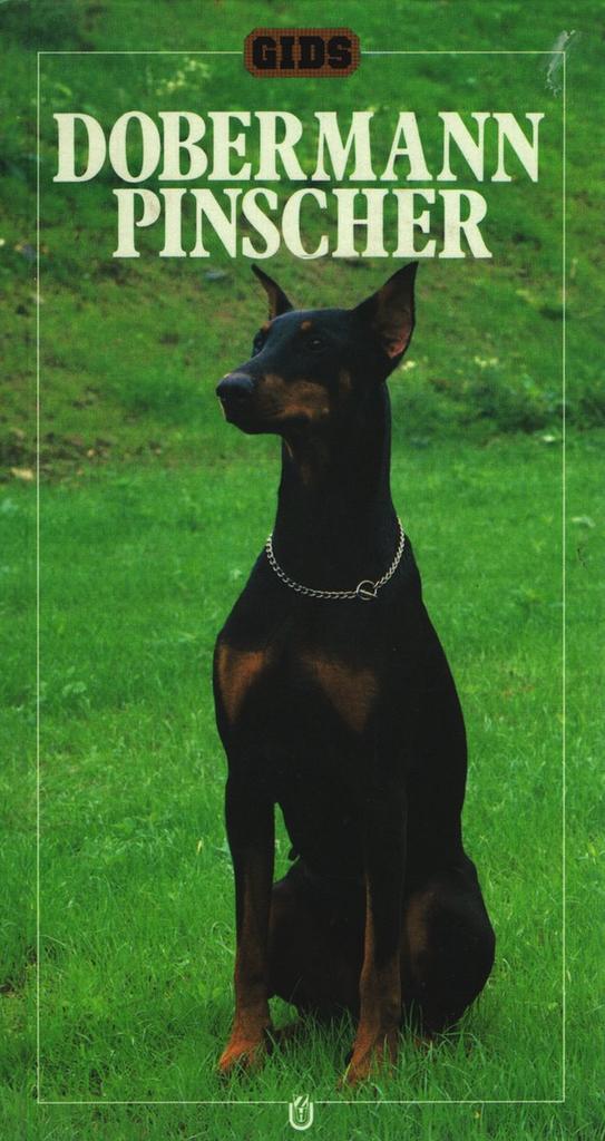 Dobermann Pinscher / Gids 9789051120905 J. Richardson, Boeken, Hobby en Vrije tijd, Gelezen, Verzenden
