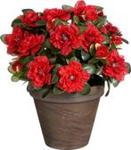 2dekans | Mica Decorations Kunstplant - Azalea - Rood - in, Ophalen of Verzenden