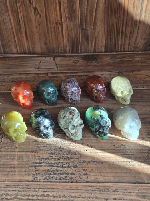 Human Gesneden schedel - Unknown - 40 mm - 30 mm - 50 mm -, Verzamelen, Mineralen en Fossielen