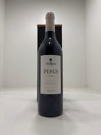 2018 Bodegas Hnos. Saste, Viña Sastre Pesus - Ribera del, Nieuw