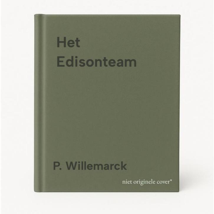 Het Edisonteam 9789077432051 P. Willemarck, Boeken, Economie, Management en Marketing, Gelezen, Verzenden
