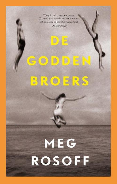 De Godden broers / Zomerdrieluik / 1 9789024592357, Boeken, Kinderboeken | Jeugd | 13 jaar en ouder, Gelezen, Verzenden