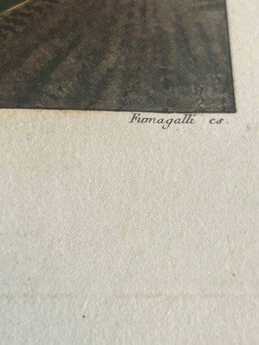 Italië - Piemonte // Lago Maggiore //Panorama van de stad, Livres, Atlas & Cartes géographiques