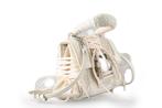 Steve Madden Handtassen in maat standaard Beige | 5% extra, Handtassen en Accessoires, Verzenden, Zo goed als nieuw, Beige