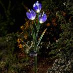 NIEUW - Lichtgevende krokus - bloem solar, Nieuw, Verzenden