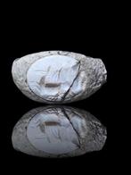 Oud-Romeins Stunning & Rare White Intaglio Seal Ring (Zonder