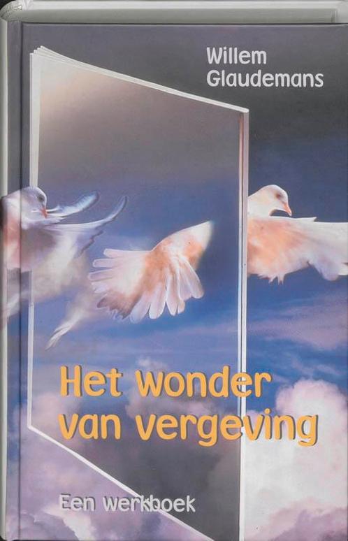 Het wonder van vergeving 9789020282719 Willem Glaudemans, Boeken, Esoterie en Spiritualiteit, Gelezen, Verzenden