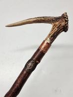 Wandelstok - Hout, gewei