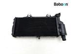 Radiateur BMW F 650 GS 2004-2005 Dakar (F650GS) (7661912)