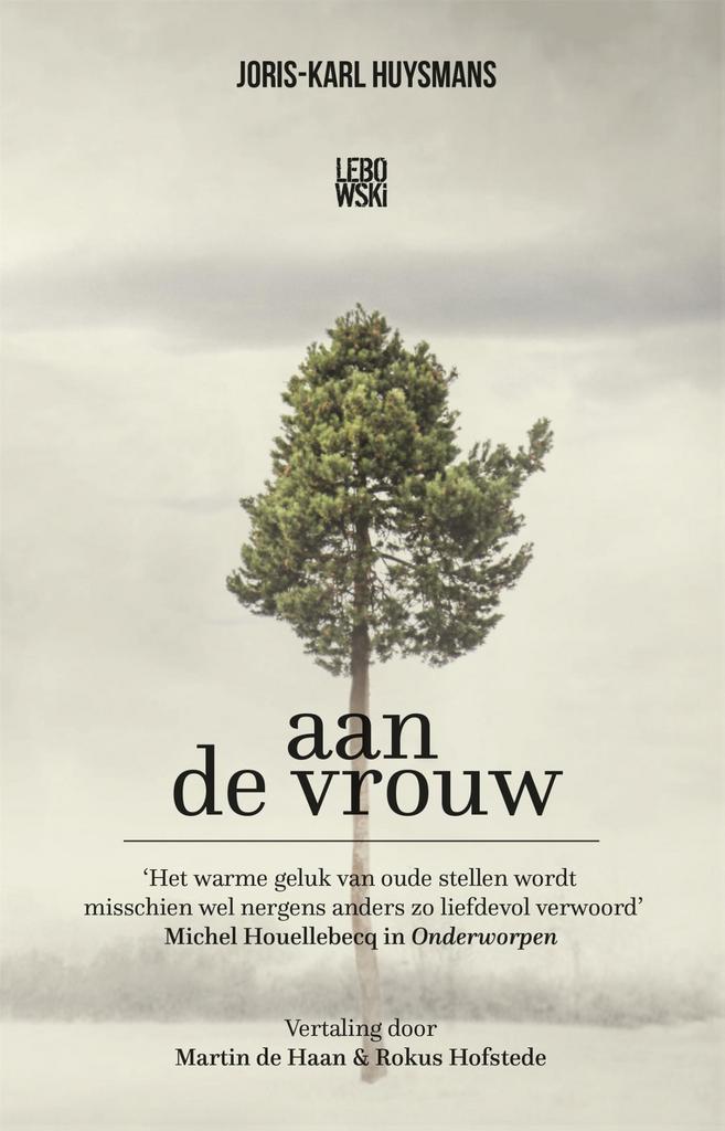 Aan de vrouw 9789048854769 Joris-Karl Huysmans, Boeken, Romans, Gelezen, Verzenden