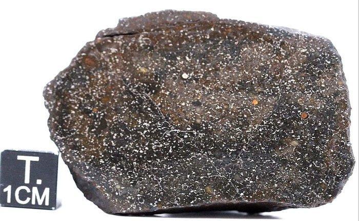 NWA 15468 OC4-smeltbreccie. Dit is één van de zes, Collections, Minéraux & Fossiles