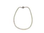 Veiling - Zilveren Sluiting | Zoetwater Parelsnoer | Klassie, Nieuw