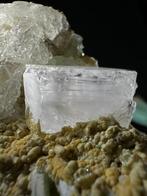 Een zeldzaam huwelijk van GOSENIET of MORGANIET met GROENE