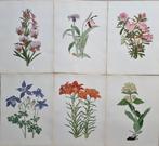 Weisz, Josef (1894/ 1969) - Lot of 12 plates from Blumen, Antiek en Kunst