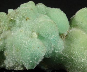 Rare Pickeringite sur Melanterite Formation cristalline