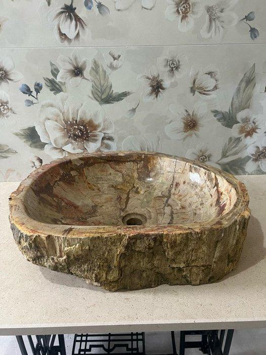 Lavabo - Hout - Opzetwastafel volledig gemaakt van versteend, Antiek en Kunst, Curiosa en Brocante