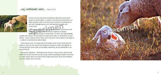 Goede Herder en psalm 23 9789059073784 Sarah Waldmann, Boeken, Godsdienst en Theologie, Zo goed als nieuw, Verzenden