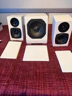 Totem - Kin mini subwoofer en duoset Subwoofer