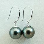 Oorbellen - 18 karaat Witgoud Parel - Aurora, Tahitian,, Nieuw