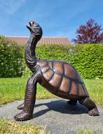 Figurine - Levensechte schildpad - Bronze