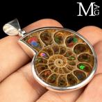 Sterrenzilveren hanger met Cleoniceras ammoniet en Ammoliet